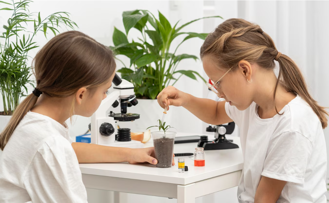 Изображение программы