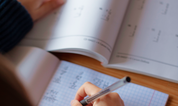 Математика (индивидуальные занятия)