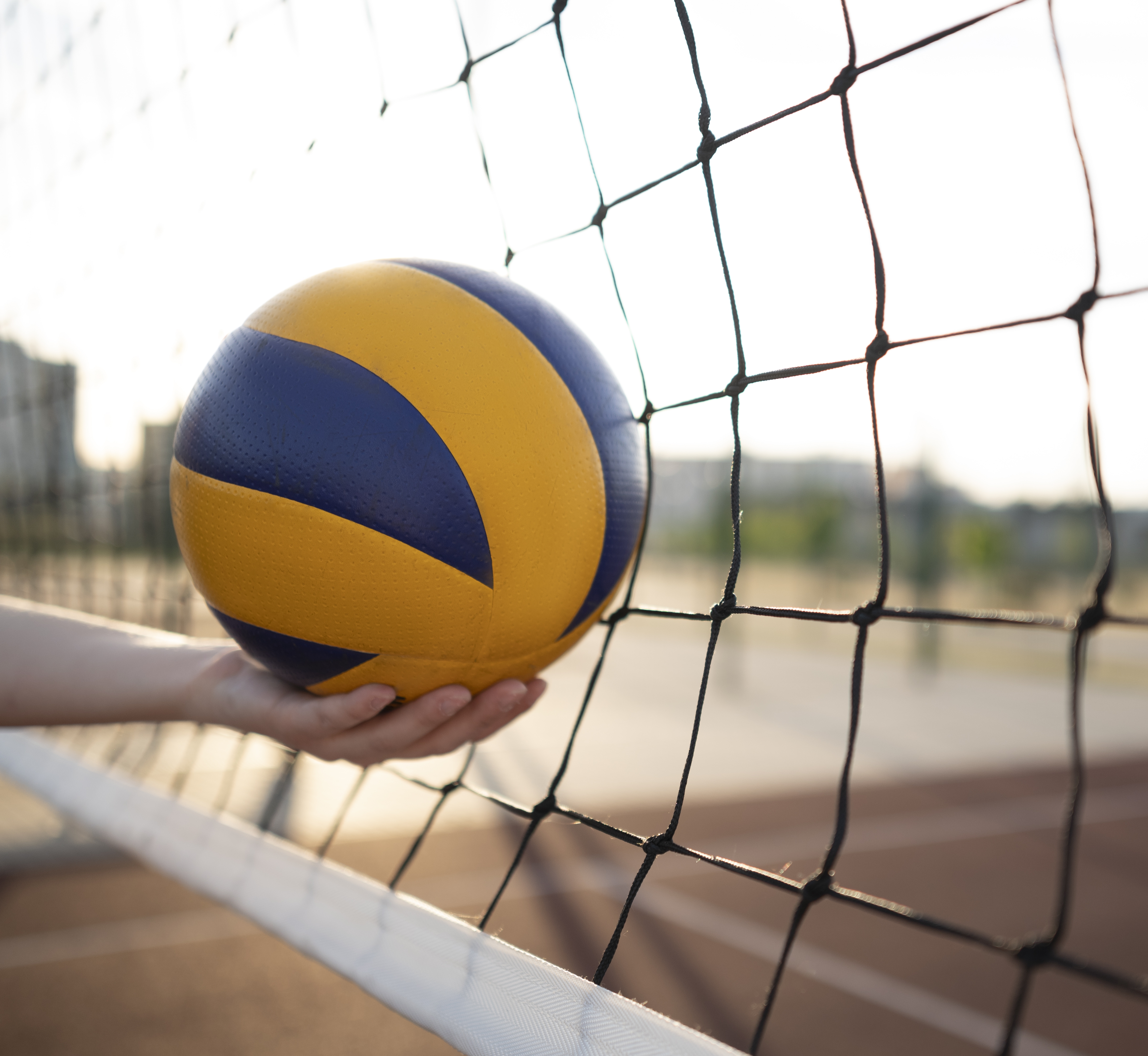 Изображение программы