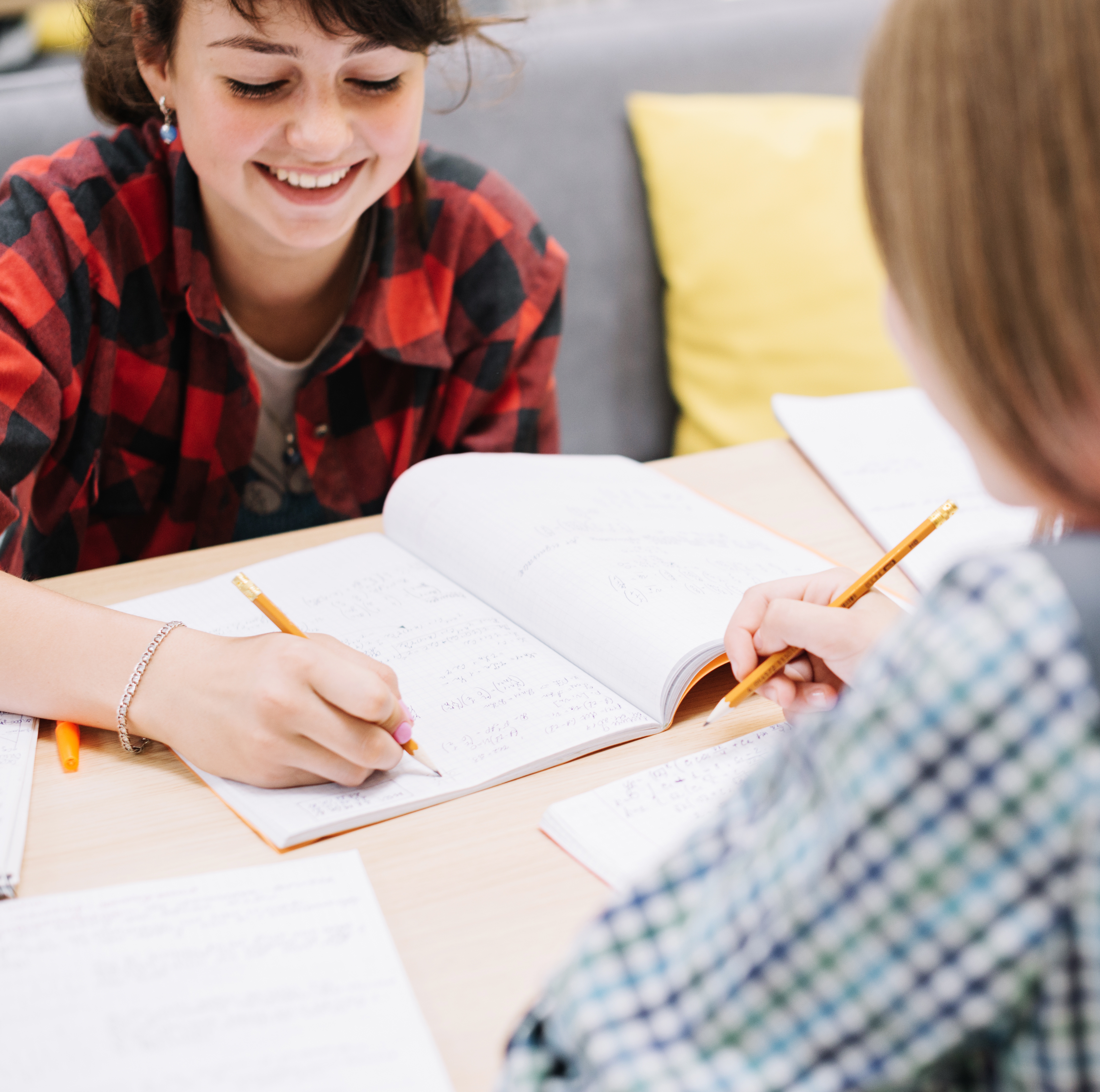 Изображение программы